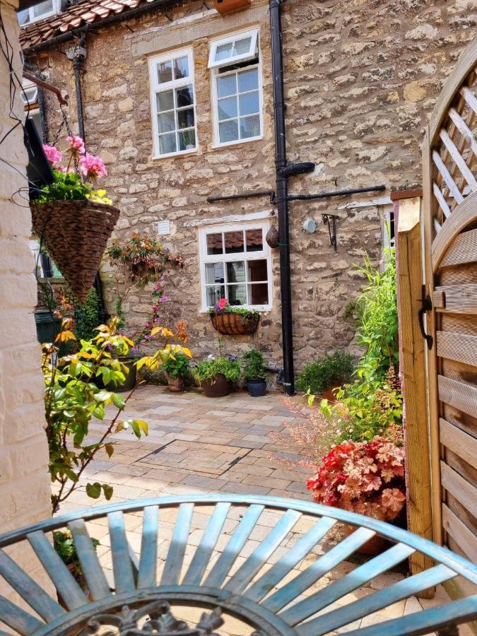 Bluebird * Pickering